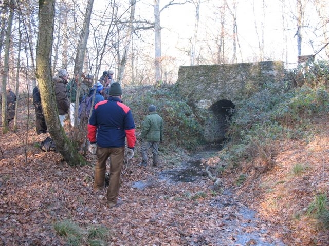 2007 11 Etangs de Hollande 24